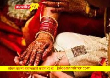 नात्याला फासला काळिमा : घरातून लाखो रुपये घेत विवाहित तरुणी काकासोबत पळाली !