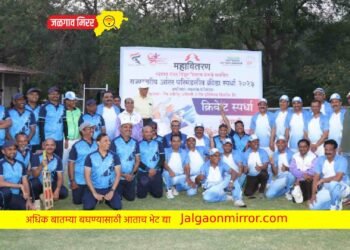 महावितरण अधिकाऱ्यांमध्ये रंगला प्रदर्शनीय क्रिकेट सामना