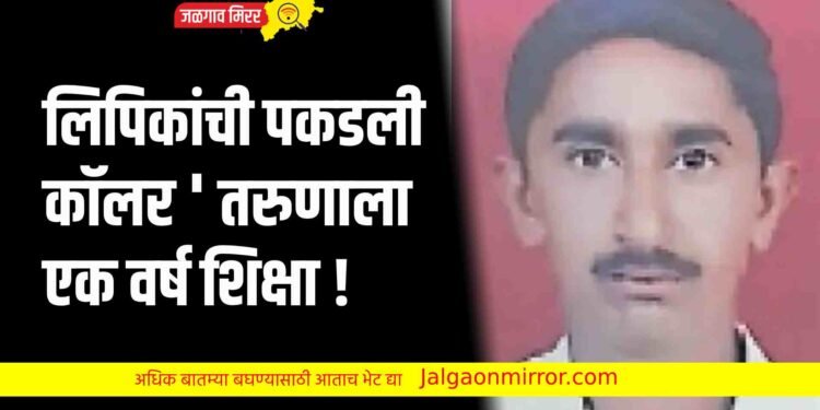 लिपिकांची पकडली कॉलर तरुणाला एक वर्ष शिक्षा !