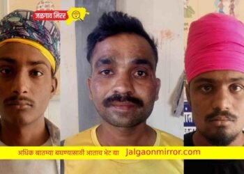 एलसीबीने ठोकल्या अट्टल गुन्हेगारांना बेड्या !