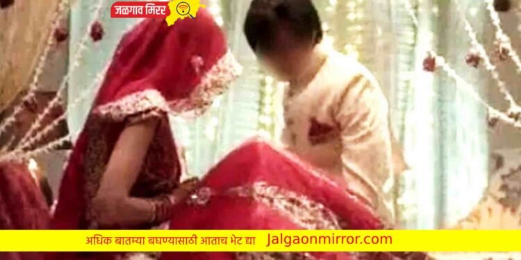 प्रेमीयुगुलांचा एक दिवसाचा संसार !