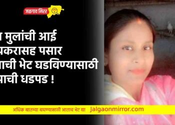 दोन मुलांची आई प्रियकरासह पसार ; मुलाची भेट घडविण्यासाठी बापाची धडपड !