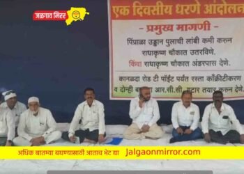 जिल्हाधिकारी कार्यालायाबाहेर नगरसेवक पोकळे यांचे लाक्षणिक आंदोलन !