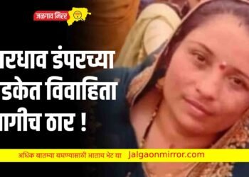 भरधाव डंपरच्या धडकेत विवाहिता जागीच ठार !