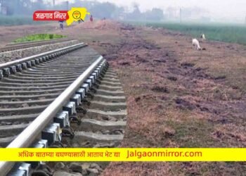 हद्दच झाली राव : चोरट्यांनी रेल्वे ट्रॅकच चोरला !