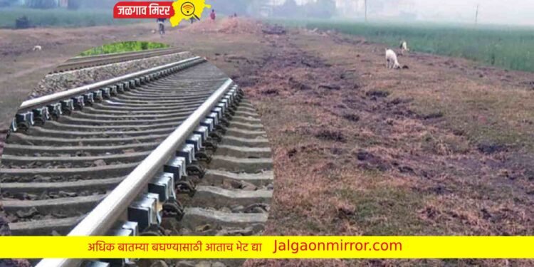 हद्दच झाली राव : चोरट्यांनी रेल्वे ट्रॅकच चोरला !