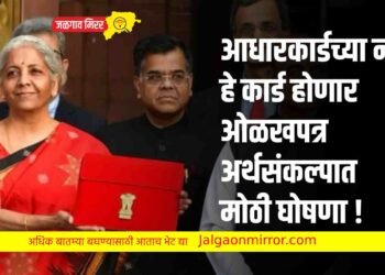 आधारकार्डच्या नंतर हे कार्ड होणार ओळखपत्र  ; अर्थसंकल्पात मोठी घोषणा !