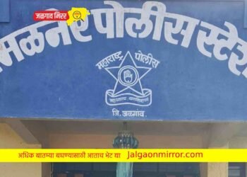 ३३ लाखांच्या साबण चोरीप्रकरणी एकास अटक