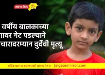 १० वर्षीय बालकाच्या अंगावर गेट पडल्याने उपचारादरम्यान दुर्देवी मृत्यू