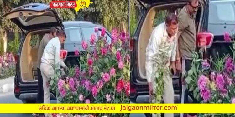 याला म्हणतात चिंधी चोर : जेव्हा लखपती चोरी करतो तेव्हा !