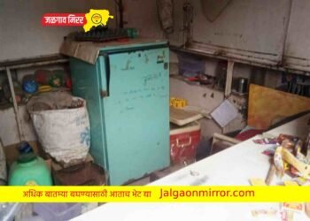 जळगावात चोरट्यांनी दुधाची टपरी फोडली !