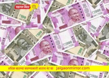 SBI ची नवी स्कीम जाहीर : इतके मिळणार व्याजदर !