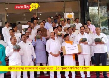 बजेट म्हणजे भ्रमाचा भोपळा ; विरोधकांच्या घोषणांनी विधानभवन परिसर दणाणला !