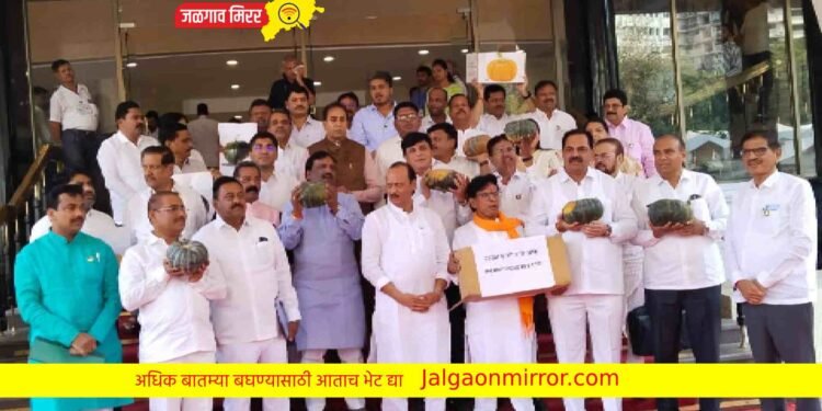 बजेट म्हणजे भ्रमाचा भोपळा ; विरोधकांच्या घोषणांनी विधानभवन परिसर दणाणला !