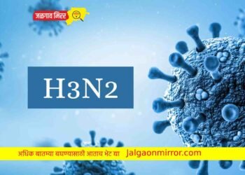 मोठी बातमी : कोरोनानंतर या आजाराने राज्यातील २३ वर्षीय तरुणाचा मृत्यू !