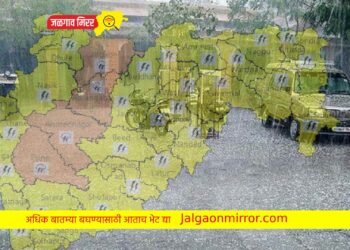 ऊन्हाळ्यात पावसाळ्याची अनुभूती : राज्यातील या भागात अलर्ट जारी !