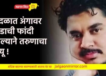 वादळात अंगावर झाडाची फांदी पडल्याने तरुणाचा मृत्यू !