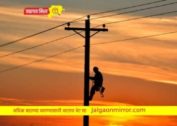 लाईनमन : वीज वितरण व्यवस्थेचा कणा