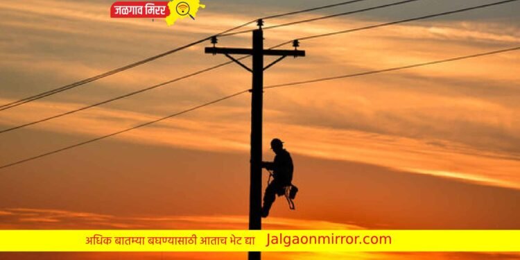 लाईनमन : वीज वितरण व्यवस्थेचा कणा