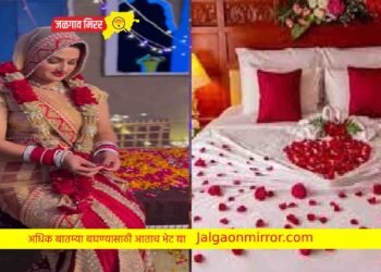 वधू वराच्या मधुचंद्राचा व्हिडीओ व्हायरल ; नवरीला पाहून बसला झटका !