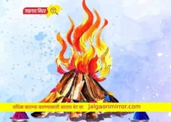 होळी, रंगोत्सव साजरा करताना घ्या वीज सुरक्षेबाबत खबरदारी