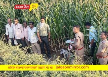 जिल्हा पुन्हा हादरला : धाकट्याने केला मोठ्या भावाचा खून !