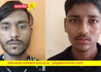 शहरातील दोन गुन्हेगार जिल्ह्यातून हद्दपार !