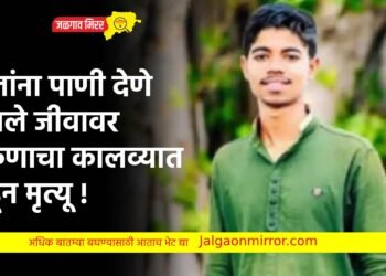 बैलांना पाणी देणे बेतले जीवावर ; तरुणाचा कालव्यात बुडून मृत्यू !