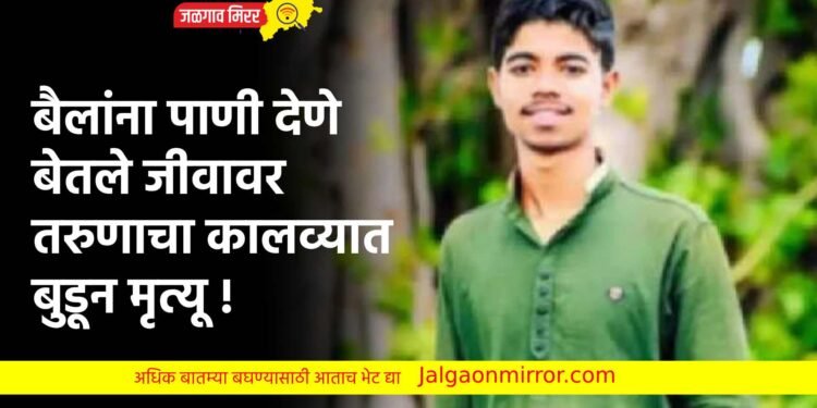बैलांना पाणी देणे बेतले जीवावर ; तरुणाचा कालव्यात बुडून मृत्यू !