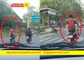 धुलीवंदनाच्या दिवशी प्रेमीयुगुलांनी हरपलं भान ; व्हिडीओ तुफान व्हायरल !