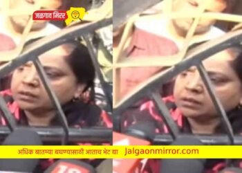 आम्हाला गोळ्या घालून मारुन टाका ; मुश्रीफांच्या पत्नी संतापल्या !