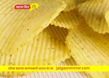फास्ट फूड, चिप्स प्रेमीना बसणार धक्का ; जाणून घ्या सविस्तर !