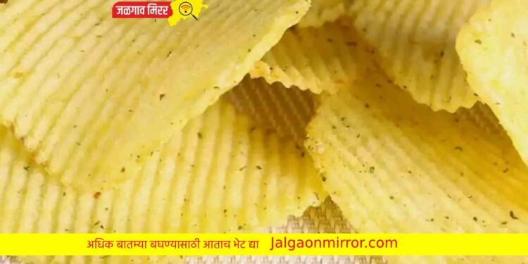 फास्ट फूड, चिप्स प्रेमीना बसणार धक्का ; जाणून घ्या सविस्तर !