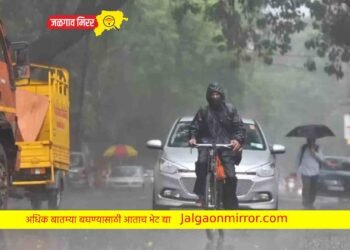 हवामान खात्याचा अंदाज : या जिल्ह्यात ३ दिवस असणार मुसळधार पाऊस !