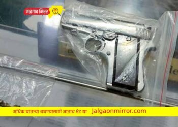 मोठी कारवाई : तीन अल्पवयीन तरुणांकडून दोन पिस्टल केले जप्त !