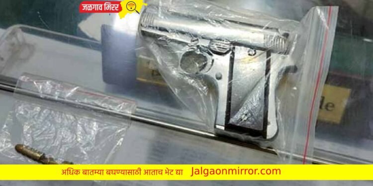 मोठी कारवाई : तीन अल्पवयीन तरुणांकडून दोन पिस्टल केले जप्त !