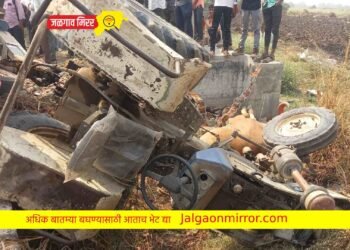 जळगावात भरधाव वाळूच्या ट्रॅक्टरने २ बैलासह बैलगाडी उडवली !