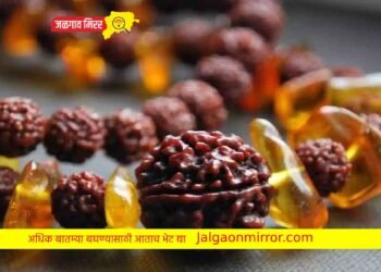 या लोकांनी चुकूनही धारण करू नये रुद्राक्ष !
