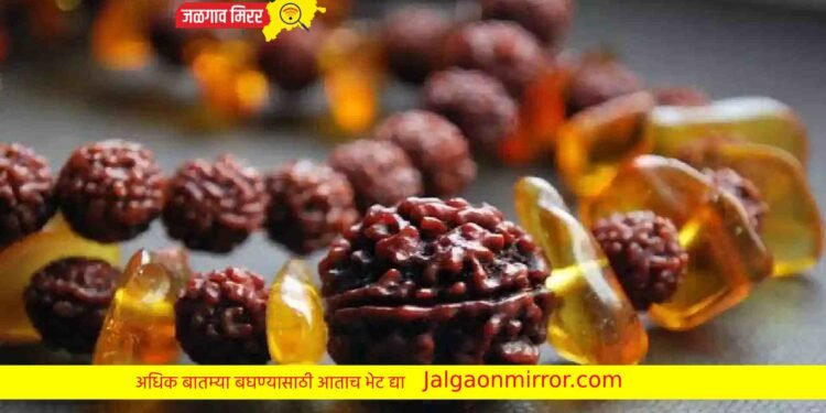 या लोकांनी चुकूनही धारण करू नये रुद्राक्ष !
