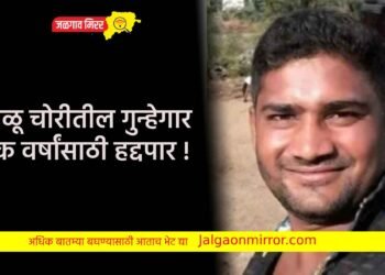 वाळू चोरीतील गुन्हेगार एक वर्षांसाठी हद्दपार !