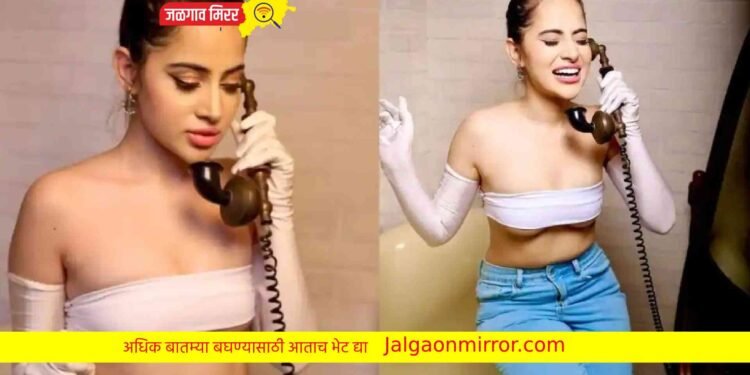 चाहत्यांना उर्फीने दिली गुड न्यूज : घरी सदस्यांची झाली दमदार एन्ट्री !