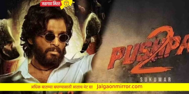 ‘पुष्पा २’ मध्ये ही अभिनेत्री करणार धमाका !