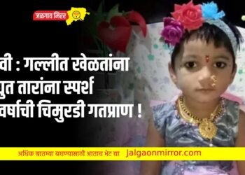 दुर्दैवी : गल्लीत खेळतांना विद्युत तारांना स्पर्श ; ५ वर्षाची चिमुरडी गतप्राण !