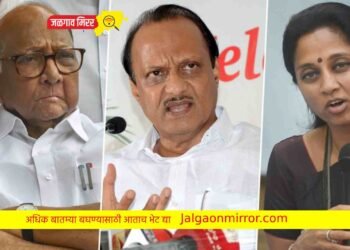 पवारांवर हल्लाबोल ; नावाची कीड लागलीय !