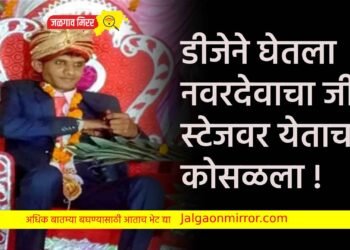 डीजेने घेतला नवरदेवाचा जीव : स्टेजवर येताच कोसळला !