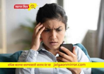 सावधान : तुम्हाला असा मेसेज आलाय ? महिलेसोबत घडला धक्कादायक प्रकार !