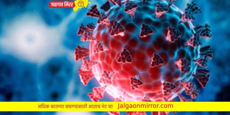 देशात कोरोनाचा पुन्हा वाढला धोका ; केद्राचे या राज्यांना पत्र !