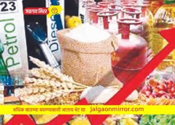 होळीपूर्वी जनतेला बसणार महागाईचा चटका !