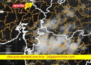 शेतकरीच्या पिकाचे नुकसान ; या भागात उद्या गारपिटीची शक्यता !