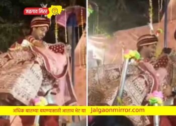 लग्न मंडपात नवदांपत्यासोबत झाले असे काही ; पहा व्हिडीओ !